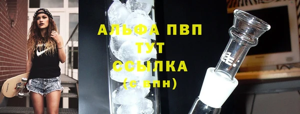 СК Покров