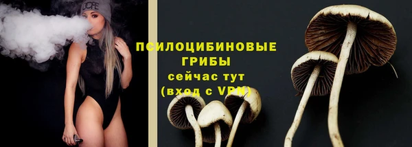 дурь Покровск