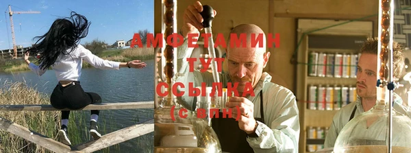 СК Покров